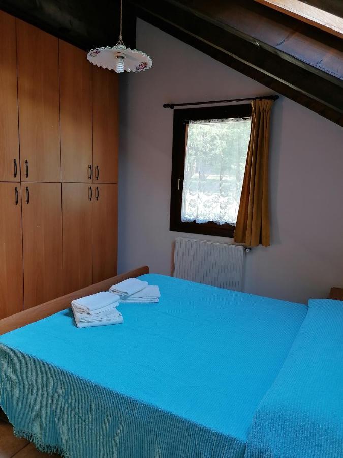 Hotel Al Fogolar Villa Santina Exteriér fotografie
