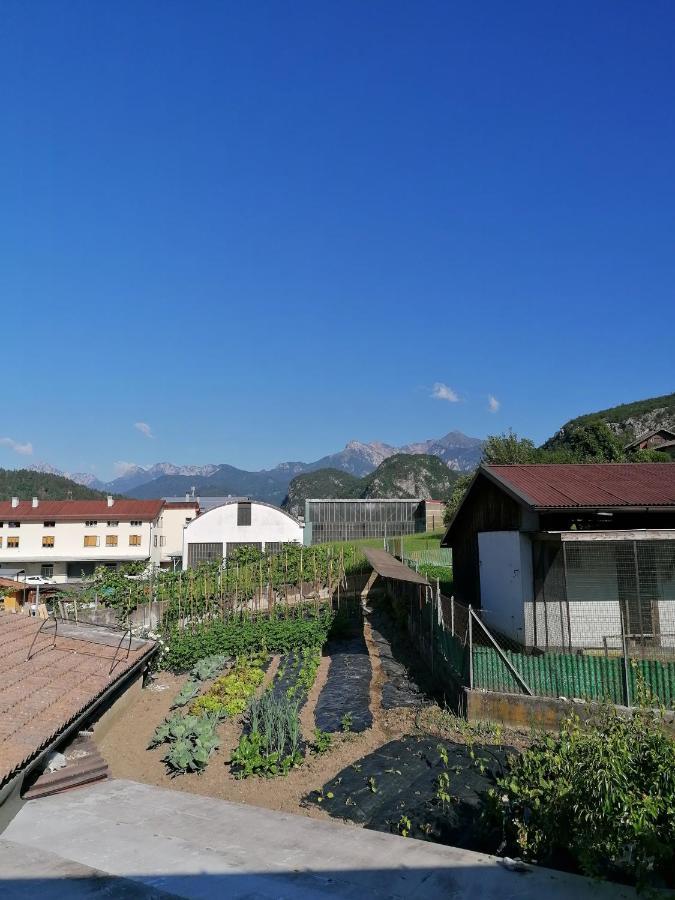 Hotel Al Fogolar Villa Santina Exteriér fotografie